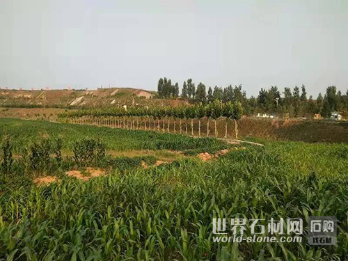 沂水縣礦山修復(fù)