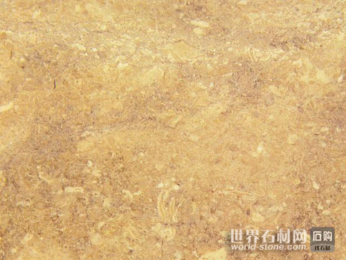 新雅藍(lán)