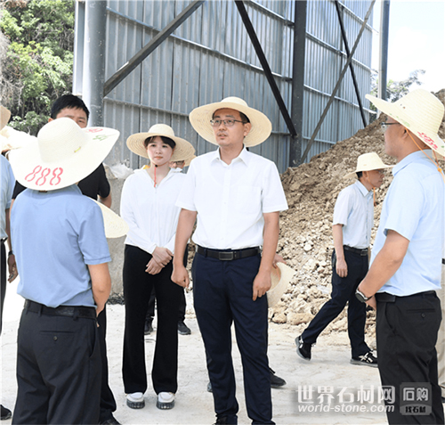 永定區領導調研